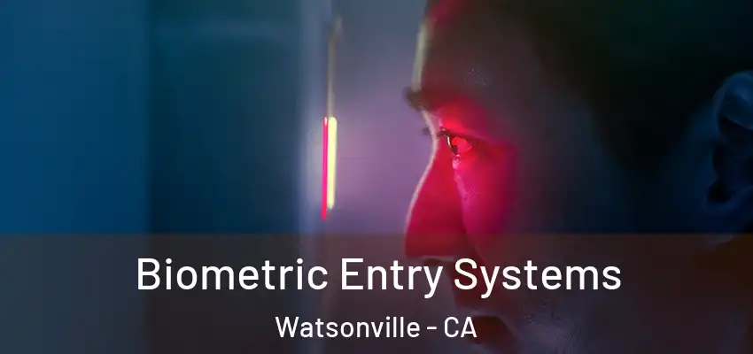  Biometric Entry Systems Watsonville - CA