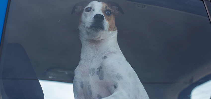 Car Lockout Solutions in Watsonville, California